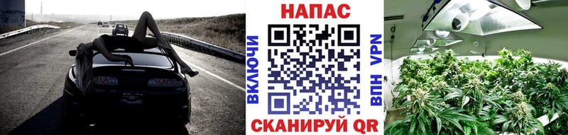 Купить закладку Новокузнецк Гашиш СОЛЬ Меф мяу мяу АМФЕТАМИН Канабис