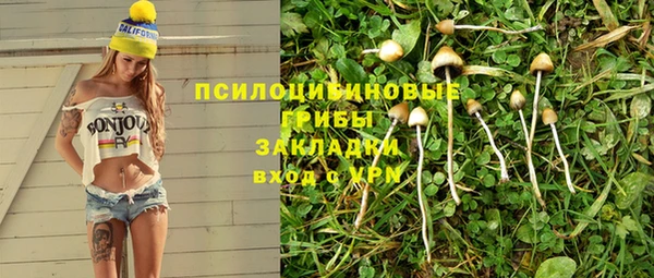 шишки Беломорск