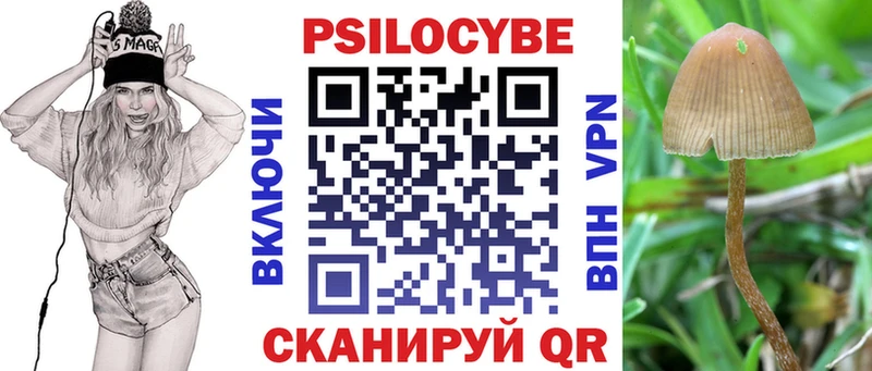цены   Новокузнецк  blacksprut рабочий сайт  Псилоцибиновые грибы мицелий 